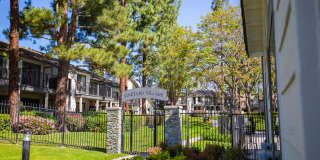 Vineyard Village Gallery 2