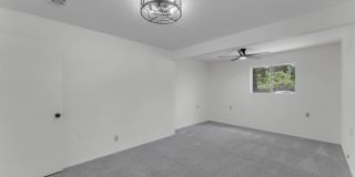 1803 Bluebonnet Gallery 21