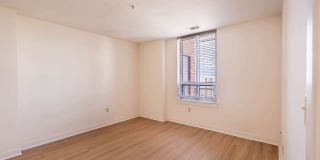 The Veridian Gallery 22