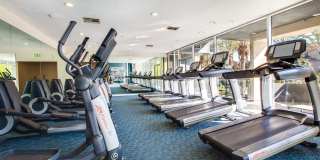 3400 Avenue of the Arts Apartments Gallery 13