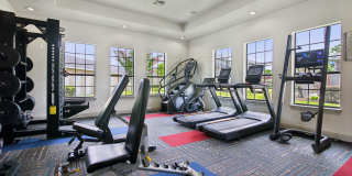 Crenshaw Grand Apartments Gallery 29