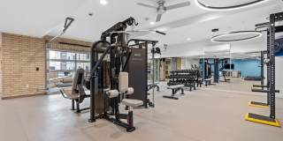 The Revival Gallery 43