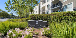 Almaden Lake Village Gallery 41