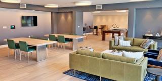 Prizma Gallery 15