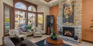 Little Tuscany Gallery 4