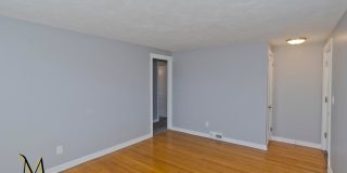 3 Bedroom Single Family Home in East Forest Park Springfield, MA! Gallery 8