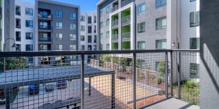 The Lex The Lex Gallery 17