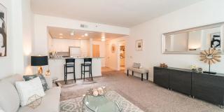 20488 Stevens Creek Blvd Apt 1308 Gallery 3