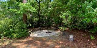 Welcome to this stunning 4 bedroom, 3 bathroom house in the heart of Wilmington, NC. Welcome to this stunning 4 bedroom, 3 bathroom house in the heart of Wilmington, NC. Gallery 51