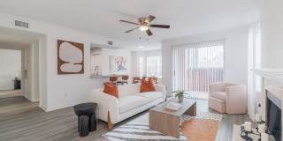 Elle Collection Gallery 13