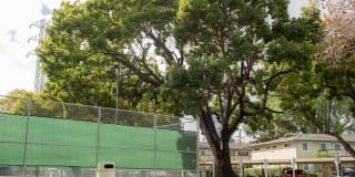 Eaves Creekside Gallery 35