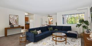 Hyattsville House Gallery 1