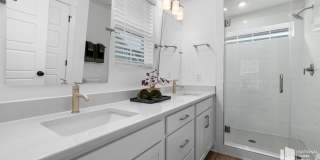 253 Asher Hls Ct Gallery 11