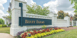 Town Center at Berry Farms Gallery 10