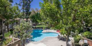 Country Woods Apartment Homes Gallery 4