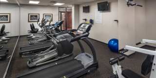 Henry Gilman Gallery 6