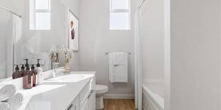 Nova West Gallery 71