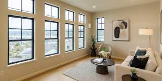 Eliason Square Gallery 18