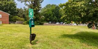 The Meadows Gallery 9