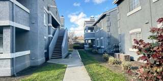 Wedgewood Apartments Gallery 3