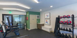 Gavin Point Gallery 16