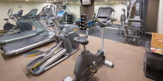 The Somerset Gallery 8