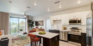 Vine at Panorama Gallery 15