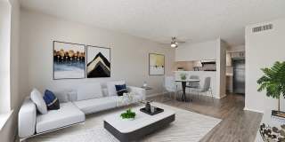 Olivo Square Apartments Gallery 6