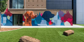 Modera SoBro Gallery 4