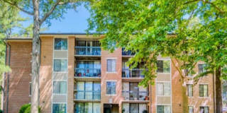 The Timbers at Long Reach Apartments Gallery 2