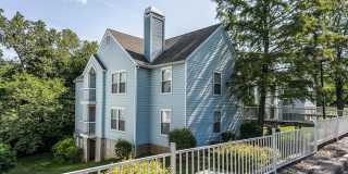 Whispering Lake Gallery 30