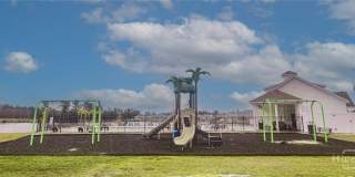 391 Coconut Drive Gallery 61