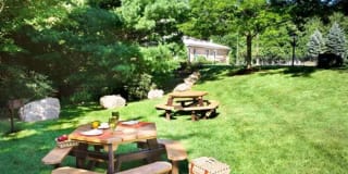 Waterfall Hills at Canton Gallery 35