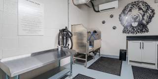 Caroline at Memorial Gallery 40