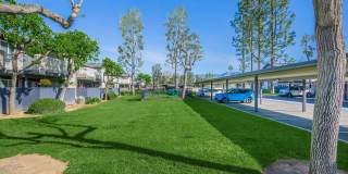 Aspire Redlands Gallery 2