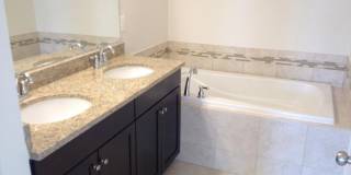 42387 TRELLIS Square Gallery 11