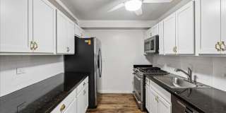 Large 1BR/1BA with Natural Light & Modern Finishes in Cleveland Park Gallery 8