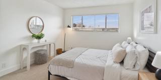 Del Coronado Gallery 11