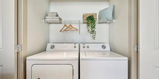 Andante at Nine Mile Station Gallery 23