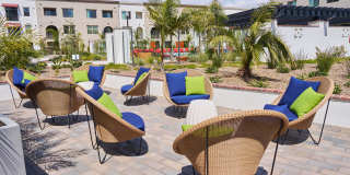 Vineyards Gallery 72