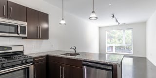 The Novella Gallery 12