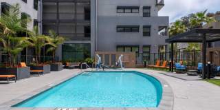 The Willows Gallery 18