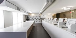 Regents Park Gallery 28