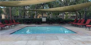 80 Cipresso Gallery 34