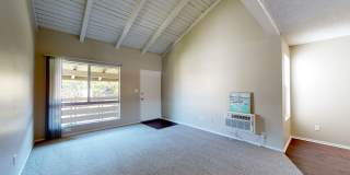 Newport Village Gallery 15