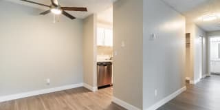 Avana at South Station Gallery 23