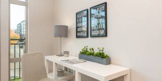 Zephyr Gallery 11