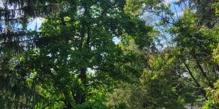 5433 Brightwood Road Gallery 3