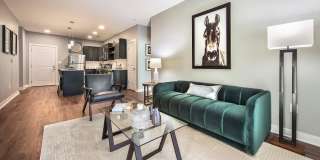 Arbuckle II Gallery 6