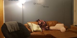 Modern Temple Apartments Gallery 1